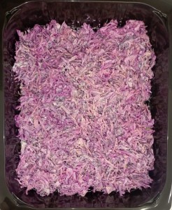 SURÓWKA Z CZERWONEJ KAPUSTY (2kg / op)